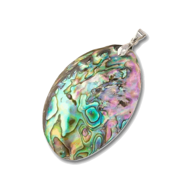 Pendentif en coquille d'ormeau / abalone