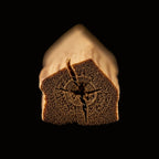 Bâton de Palo Santo vu du bout gauche, sur fond noir.