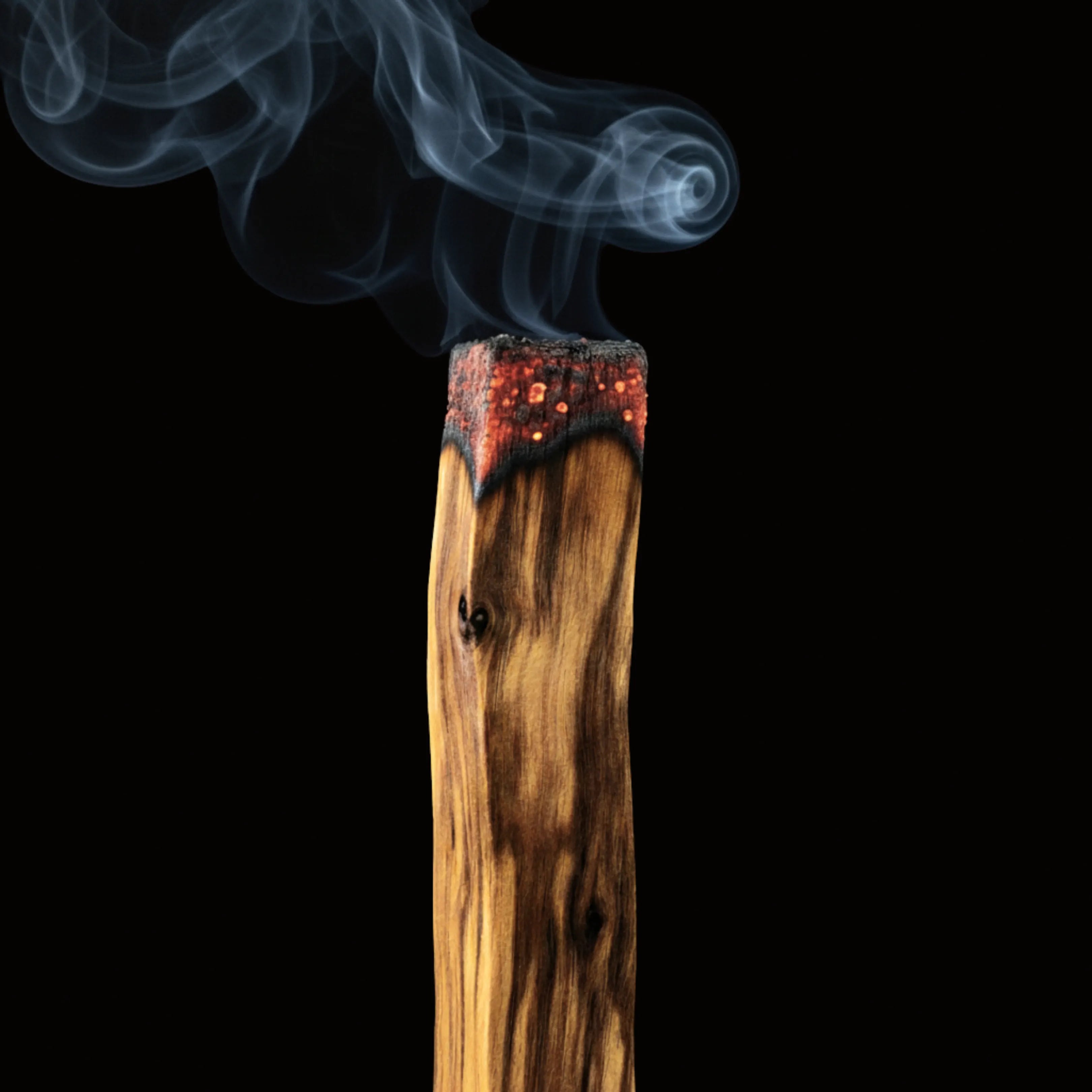 Bâton de Palo Santo vu de face en train de se consumer, avec de la fumée qui s'envole, le tout sur fond noir.